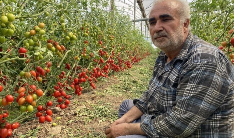 Sezon başında 70 liraydı! Fiyatı 15 TL’ye düştü… – Son Dakika Yaşam Haberleri