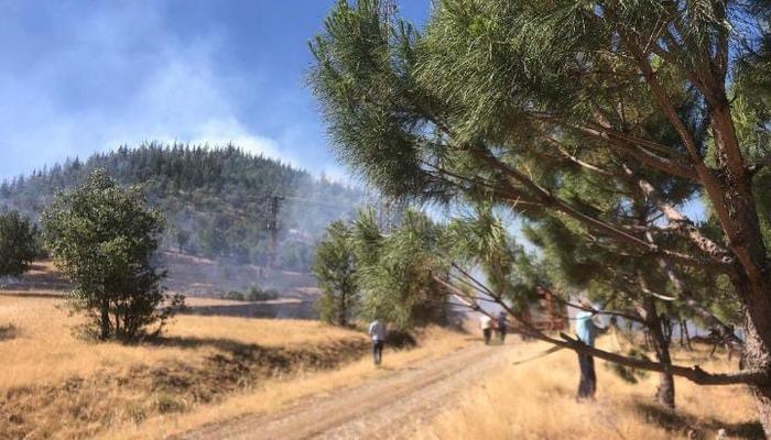 Kahramanmaraş’ta orman yangını – Güncel Haberler