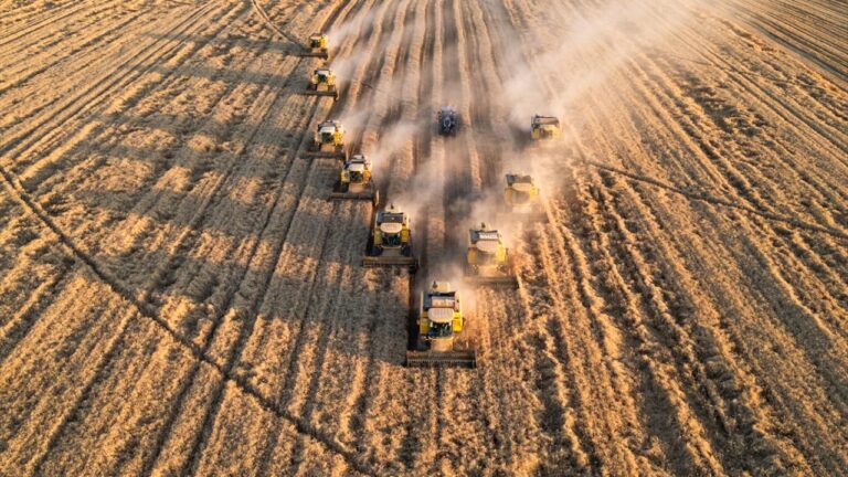 TMO’nun 2025 yılı hububat alım fiyatları belli oldu