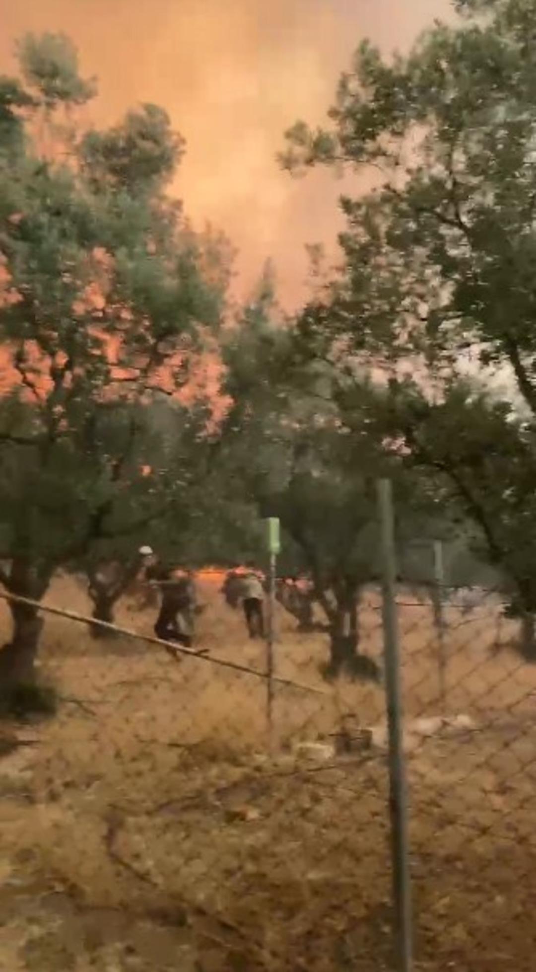 Görüntüler ortaya çıktı! Çığlıklar her yere gitti, cehennem gibi ...