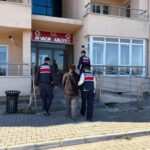 Boş alanda bebek cesedi bulundu: Gözaltındaki kadın tutuklandı