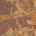 3,3 milyar yıllık taşlarda eski yaşam izleri keşfedildi